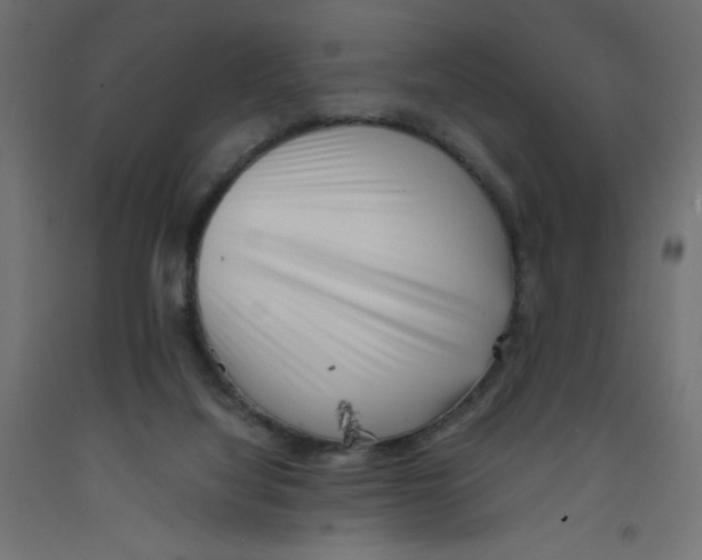 X0000092310068200710121506