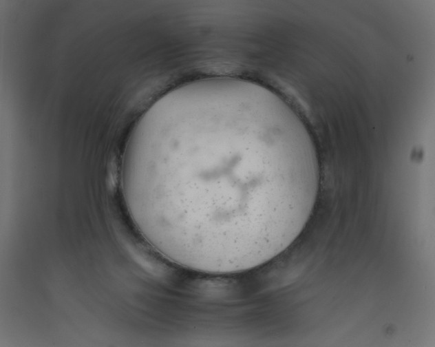 X0000092310069200710121506