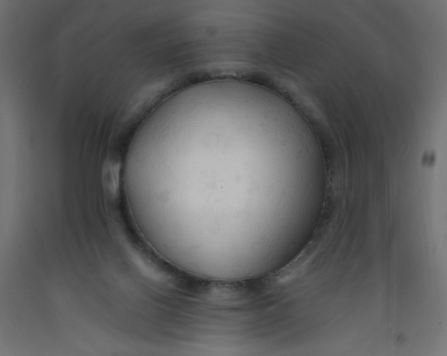 X0000092310070200710121506