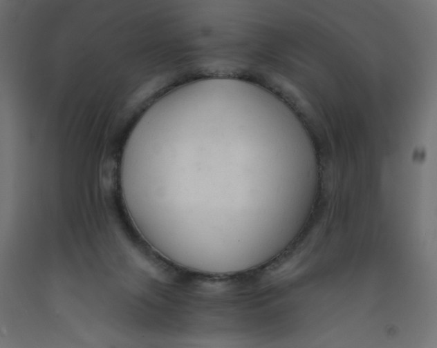X0000092310071200710121506