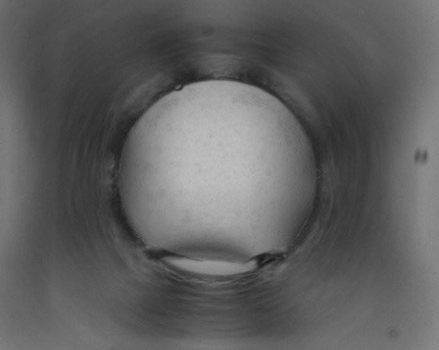 X0000092310073200710121506