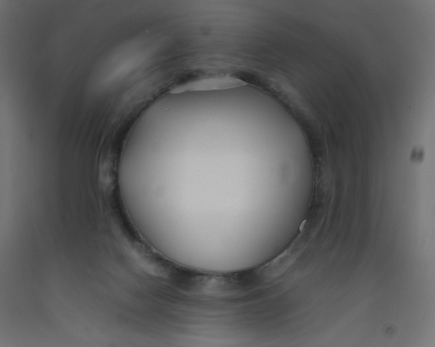 X0000092310074200710121507