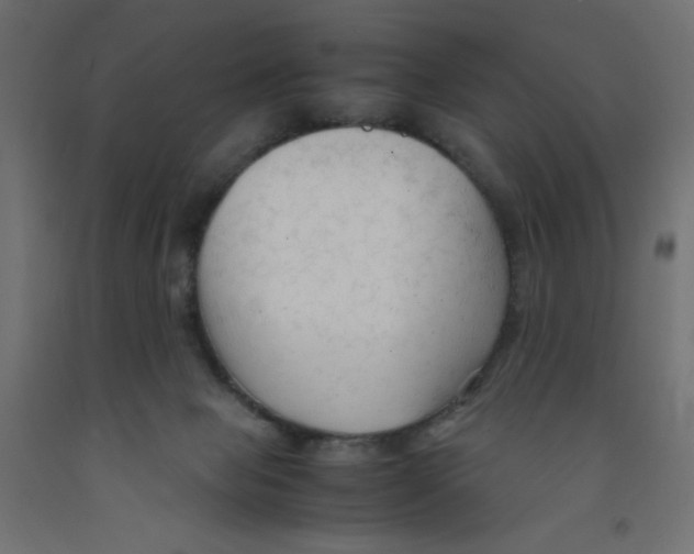 X0000092310077200710121507
