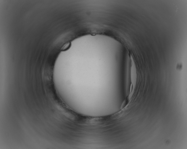 X0000092310078200710121507