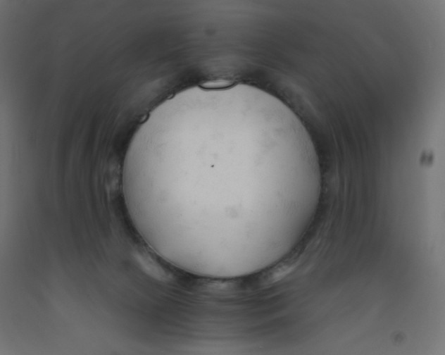 X0000092310081200710121507