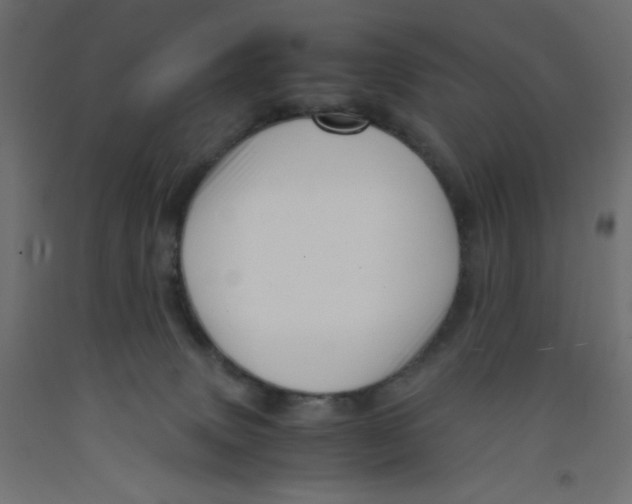 X0000092310083200710121507