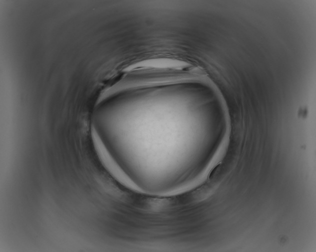 X0000092310085200710121507