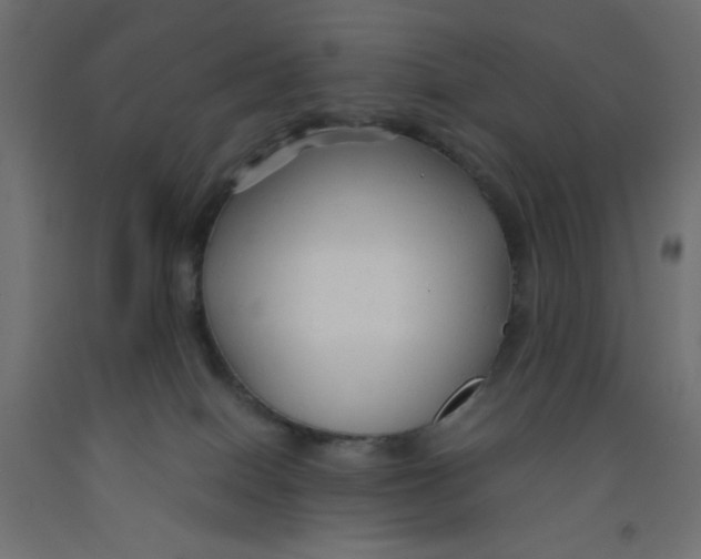 X0000092310086200710121507