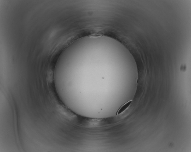 X0000092310090200710121507