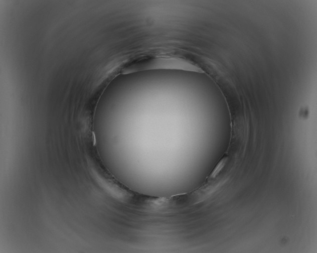 X0000092310092200710121507