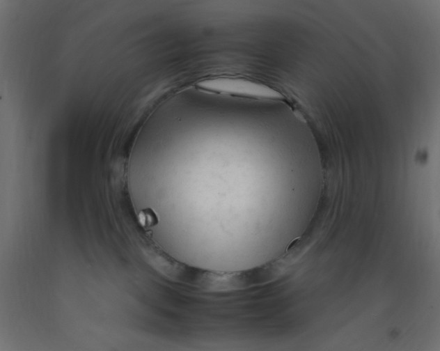 X0000092310093200710121507