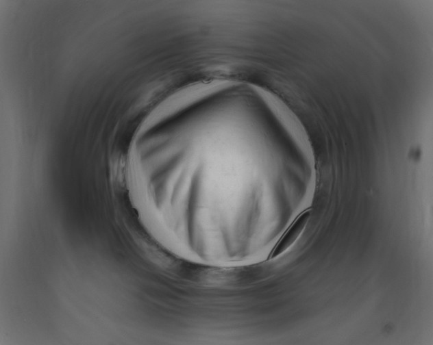 X0000092310094200710121507