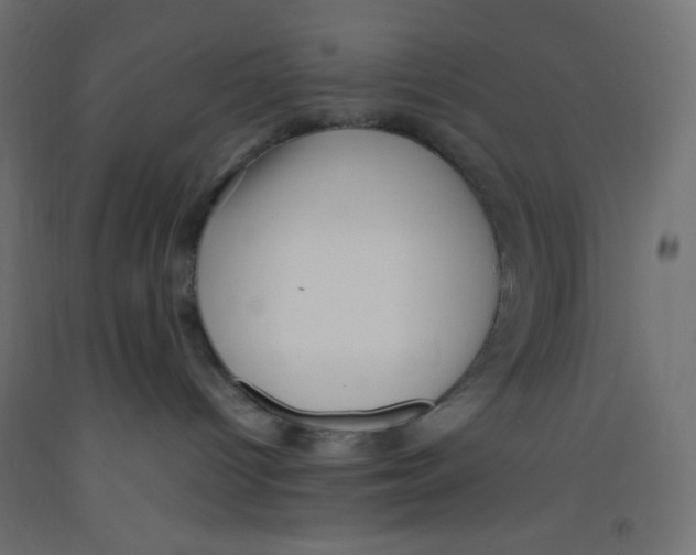 X0000092310096200710121507