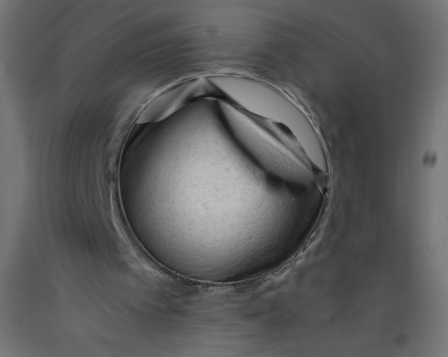 X0000092310097200710121506