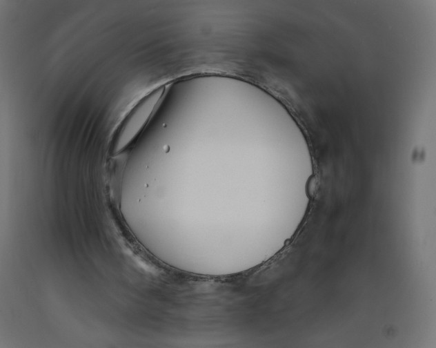 X0000092310098200710121506