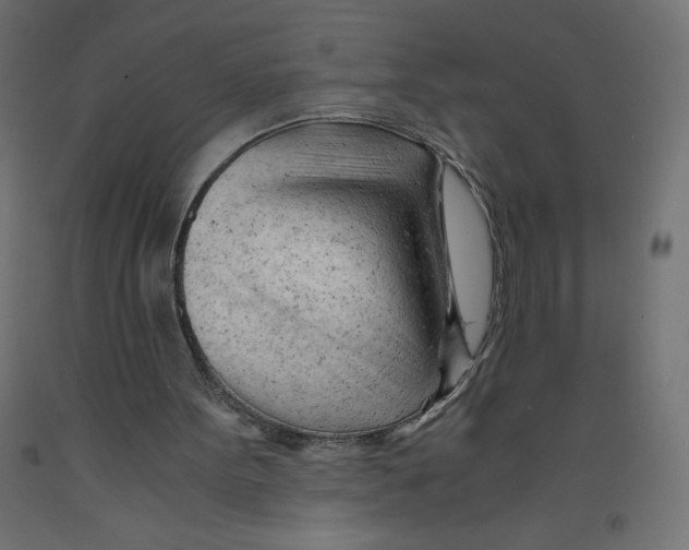 X0000092310099200710121506
