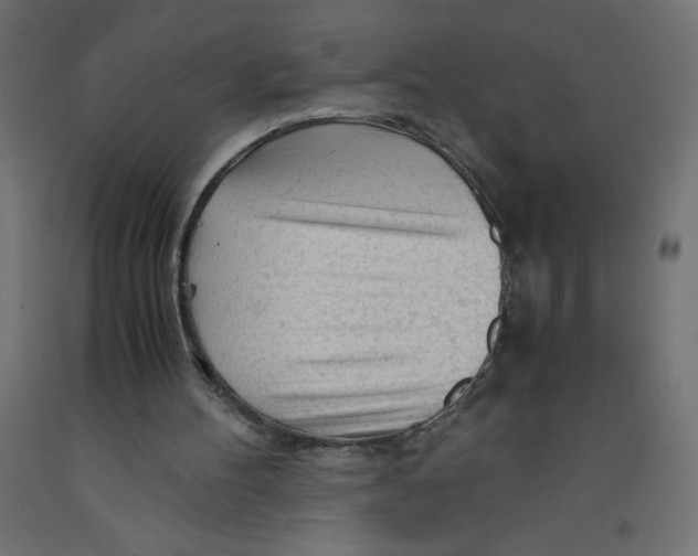 X0000092310100200710121506