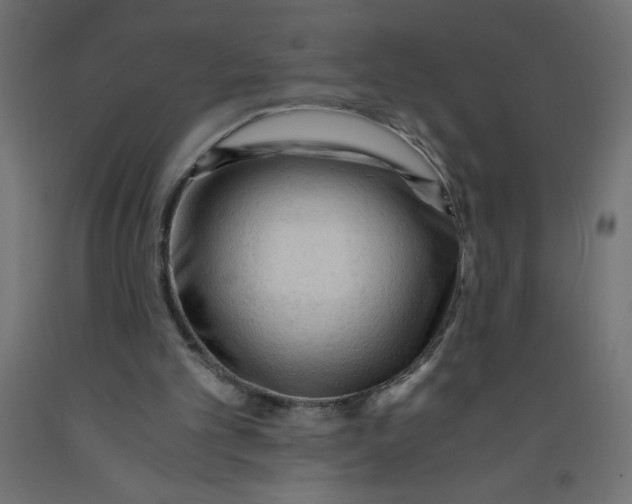 X0000092310101200710121506