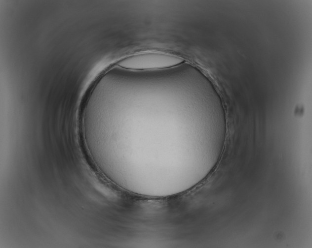 X0000092310102200710121506