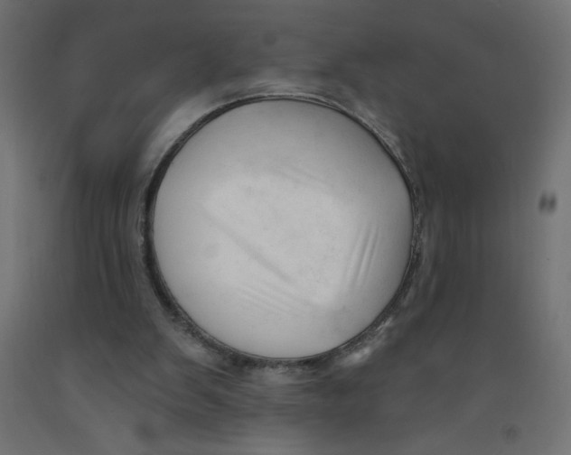 X0000092310103200710121506