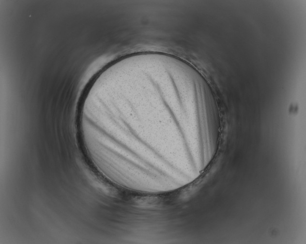 X0000092310104200710121506