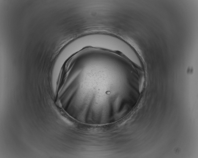 X0000092310105200710121506