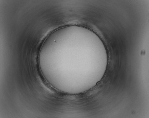 X0000092310106200710121506