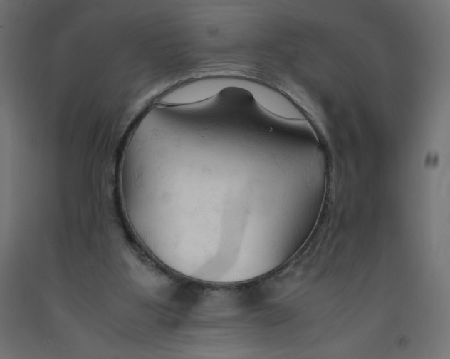 X0000092310107200710121506