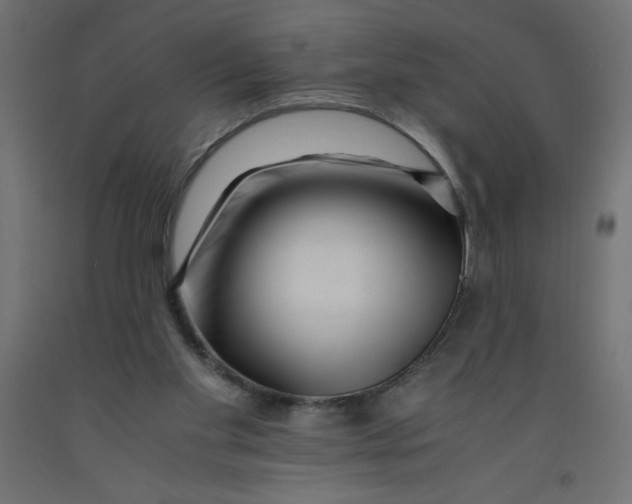 X0000092310109200710121506