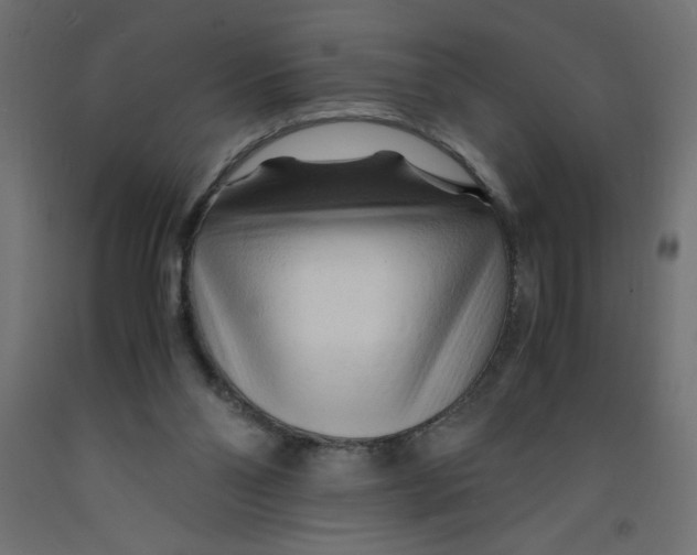 X0000092310110200710121506