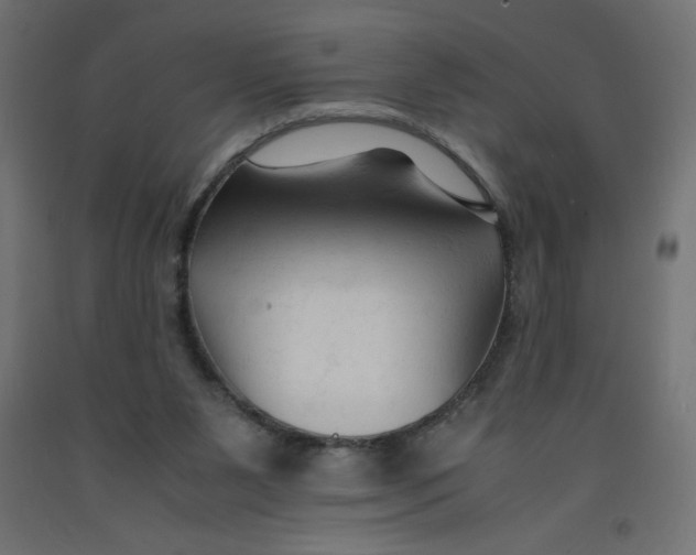 X0000092310111200710121506