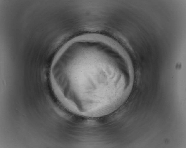 X0000092310114200710121506