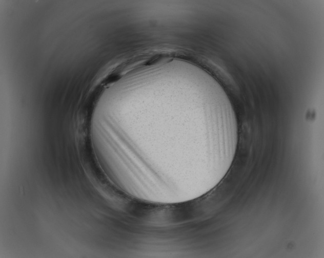X0000092310116200710121506