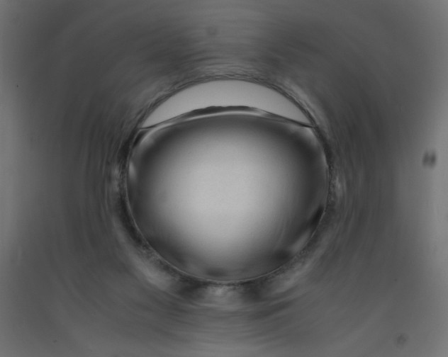 X0000092310117200710121506