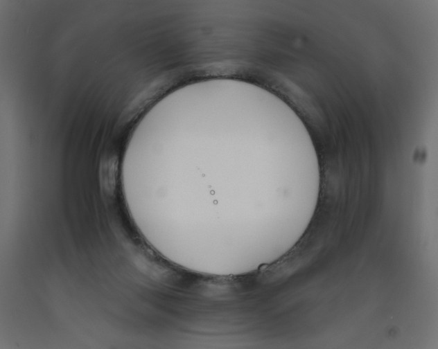 X0000092310118200710121506
