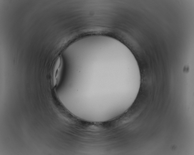 X0000092310119200710121506