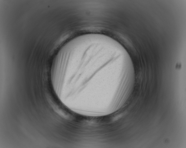 X0000092310120200710121506