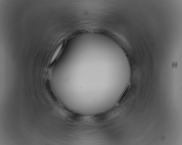 X0000092310121200710121506
