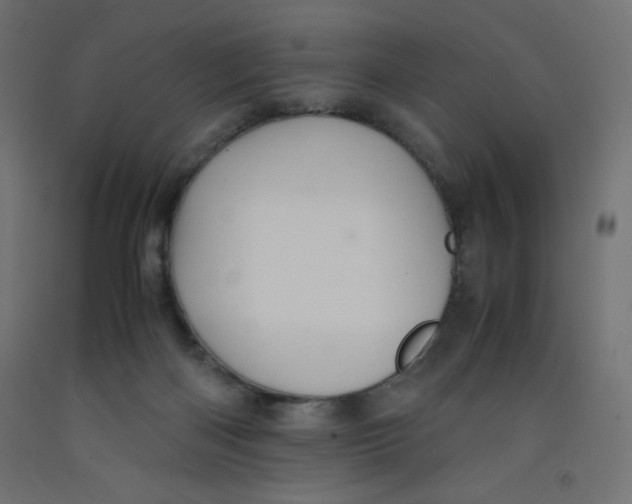 X0000092310122200710121506