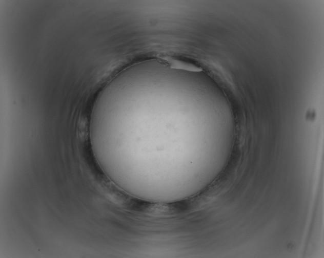 X0000092310123200710121506