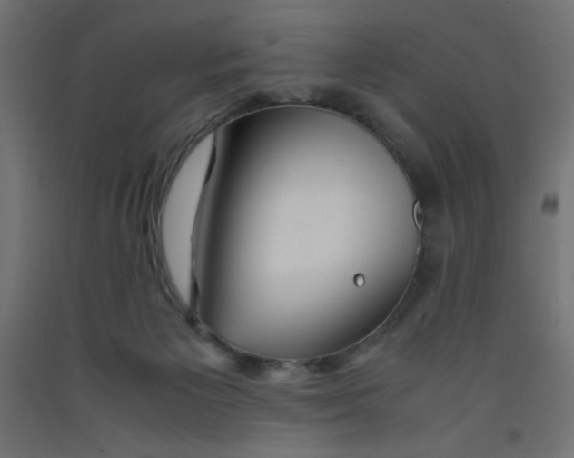 X0000092310125200710121506