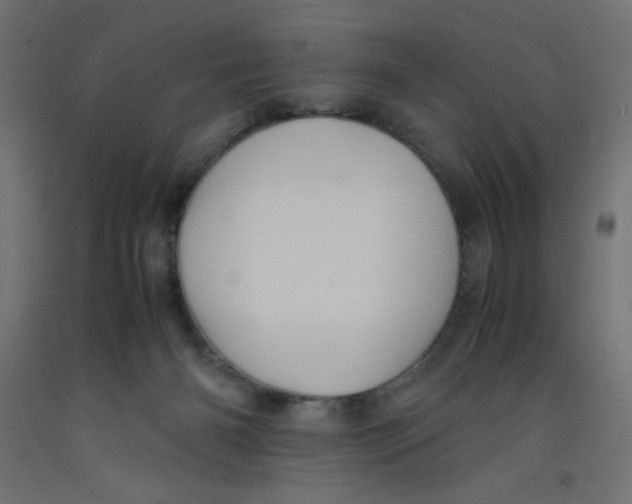 X0000092310126200710121506