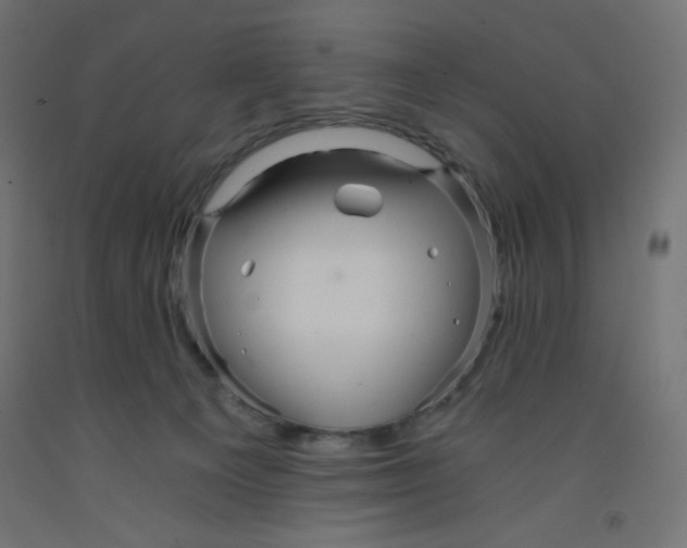 X0000092310129200710121506