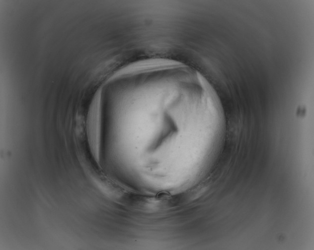 X0000092310130200710121506