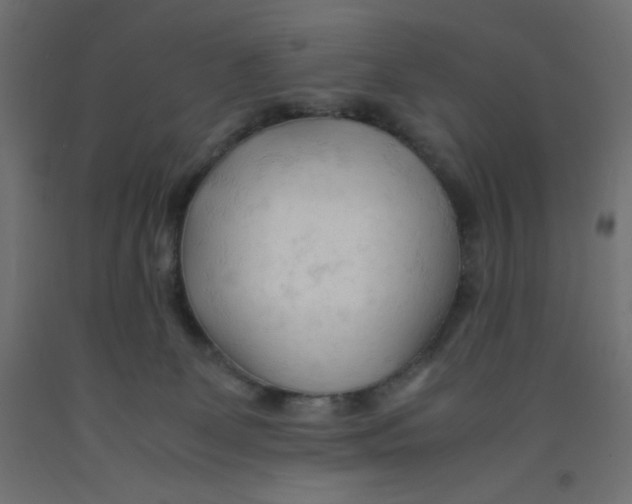 X0000092310131200710121506
