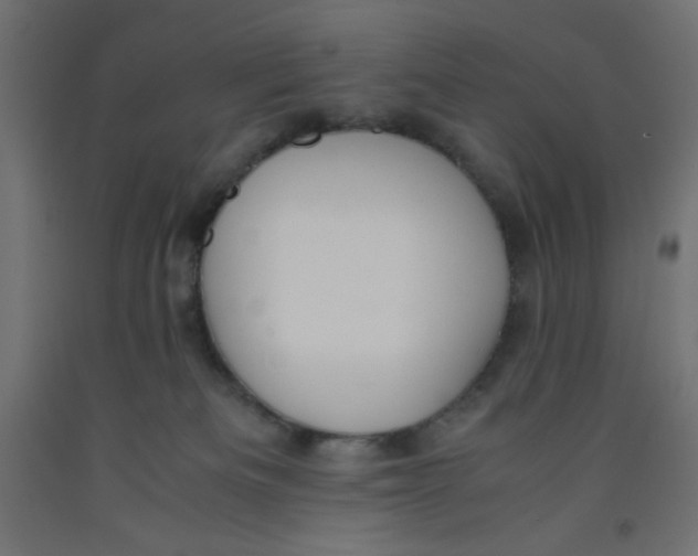 X0000092310133200710121506