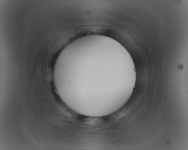 X0000092310135200710121506
