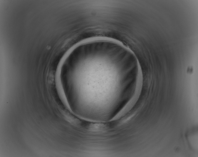 X0000092310137200710121506