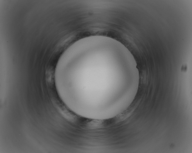 X0000092310138200710121505