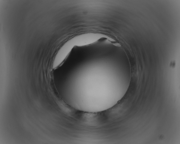 X0000092310139200710121505